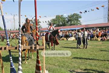 Fiesta de los Exconxuraos de Llanera