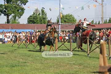 Fiesta de los Exconxuraos de Llanera