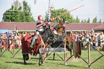 Fiesta de los Exconxuraos de Llanera