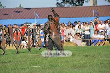 Fiesta de los Exconxuraos de Llanera