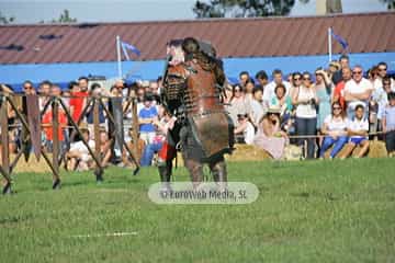 Fiesta de los Exconxuraos de Llanera