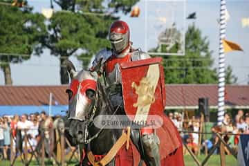 Fiesta de los Exconxuraos de Llanera