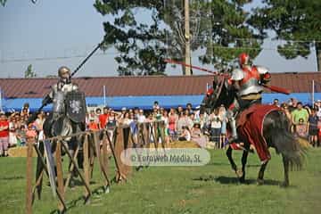 Fiesta de los Exconxuraos de Llanera