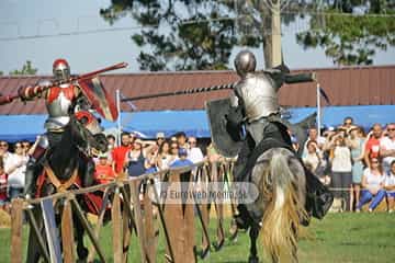 Fiesta de los Exconxuraos de Llanera