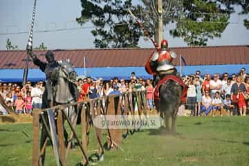 Fiesta de los Exconxuraos de Llanera