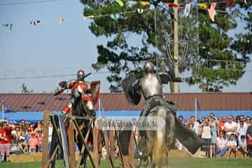 Fiesta de los Exconxuraos de Llanera