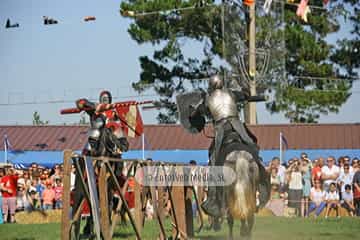 Fiesta de los Exconxuraos de Llanera