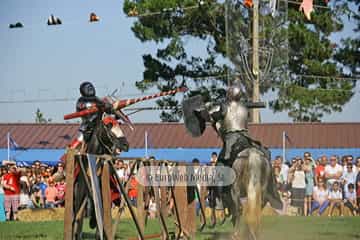 Fiesta de los Exconxuraos de Llanera