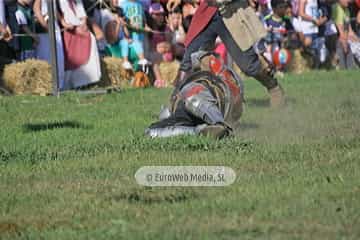 Fiesta de los Exconxuraos de Llanera