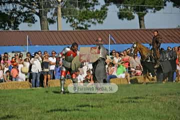 Fiesta de los Exconxuraos de Llanera