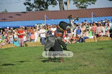 Fiesta de los Exconxuraos de Llanera