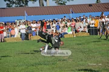 Fiesta de los Exconxuraos de Llanera