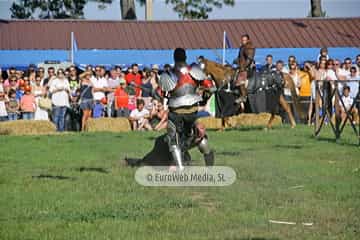 Fiesta de los Exconxuraos de Llanera