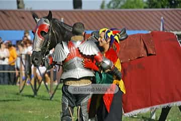 Fiesta de los Exconxuraos de Llanera