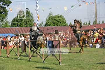 Fiesta de los Exconxuraos de Llanera