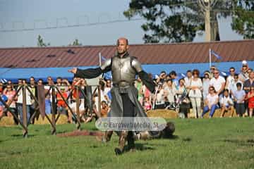 Fiesta de los Exconxuraos de Llanera