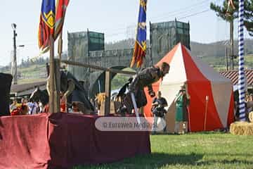 Fiesta de los Exconxuraos de Llanera