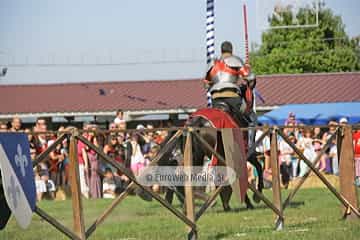 Fiesta de los Exconxuraos de Llanera