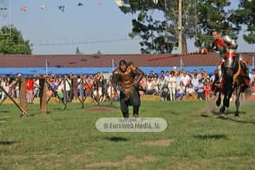 Fiesta de los Exconxuraos de Llanera