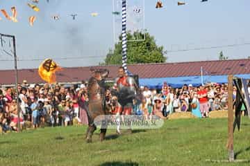 Fiesta de los Exconxuraos de Llanera