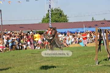 Fiesta de los Exconxuraos de Llanera