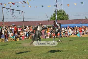 Fiesta de los Exconxuraos de Llanera