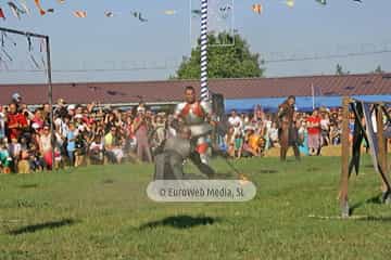 Fiesta de los Exconxuraos de Llanera