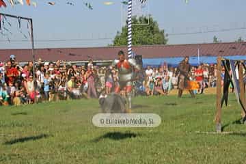 Fiesta de los Exconxuraos de Llanera