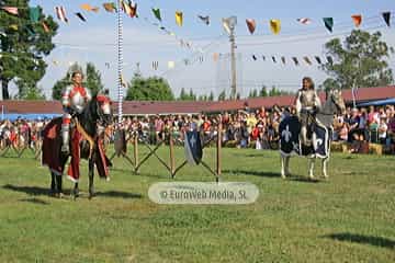 Fiesta de los Exconxuraos de Llanera