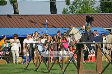 Fiesta de los Exconxuraos de Llanera