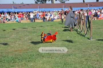 Fiesta de los Exconxuraos de Llanera