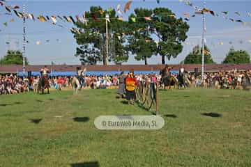 Fiesta de los Exconxuraos de Llanera