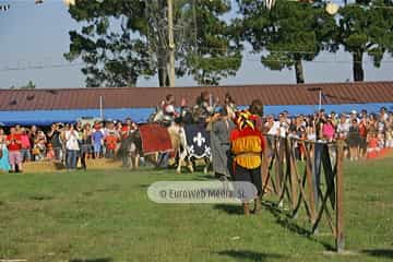 Fiesta de los Exconxuraos de Llanera