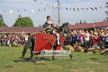 Fiesta de los Exconxuraos de Llanera