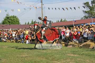 Fiesta de los Exconxuraos de Llanera