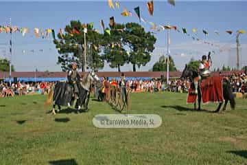 Fiesta de los Exconxuraos de Llanera