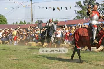 Fiesta de los Exconxuraos de Llanera