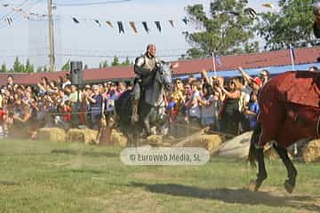 Fiesta de los Exconxuraos de Llanera