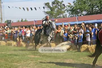 Fiesta de los Exconxuraos de Llanera