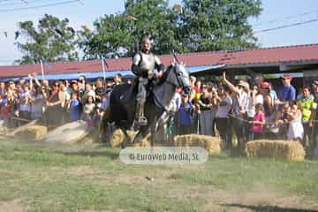 Fiesta de los Exconxuraos de Llanera