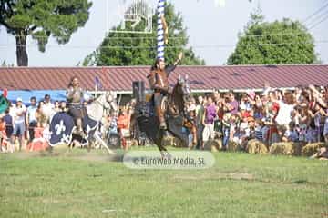 Fiesta de los Exconxuraos de Llanera