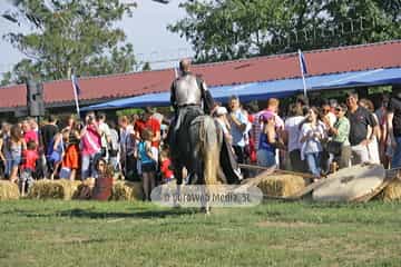 Fiesta de los Exconxuraos de Llanera