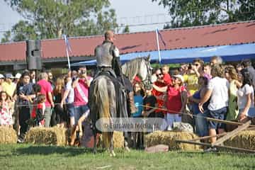 Fiesta de los Exconxuraos de Llanera