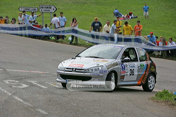 Rally de Avilés 2006. Rallye de Avilés 2006