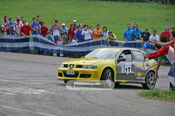 Rally de Avilés 2006. Rallye de Avilés 2006