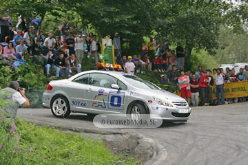 Rally de Avilés 2006. Rallye de Avilés 2006