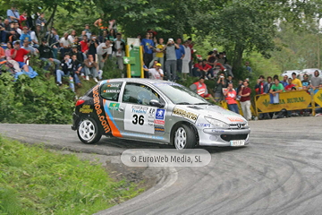 Rally de Avilés 2006. Rallye de Avilés 2006