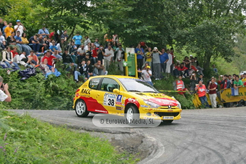 Rally de Avilés 2006. Rallye de Avilés 2006