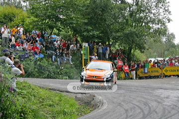 Rally de Avilés 2006. Rallye de Avilés 2006