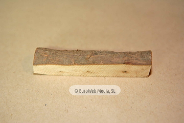 Navajas de artesanía de Taramundi